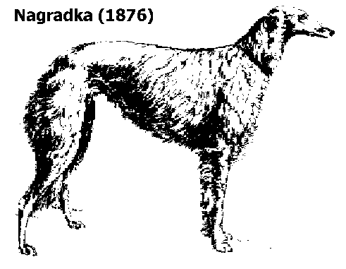 Nagradka, 1876