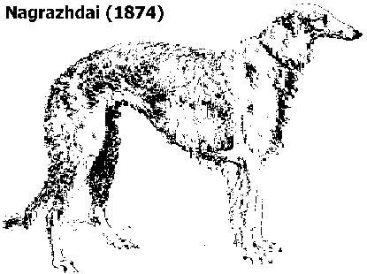 Nagrazhdai, 1874