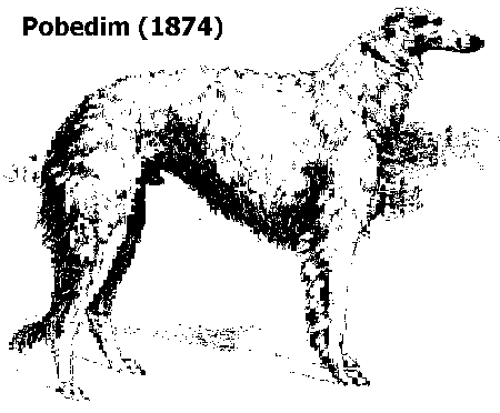 Pobedim, 1874